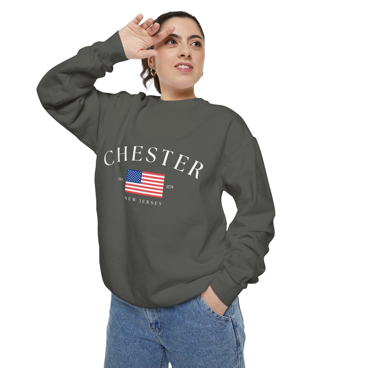 Chester USA Sweatshirt